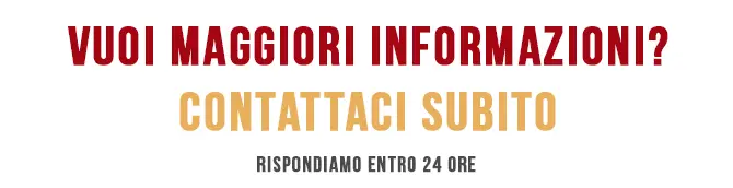 MAGGIORI INFO SULLE NOSTRE VISITE GUIDATE DI ROMA